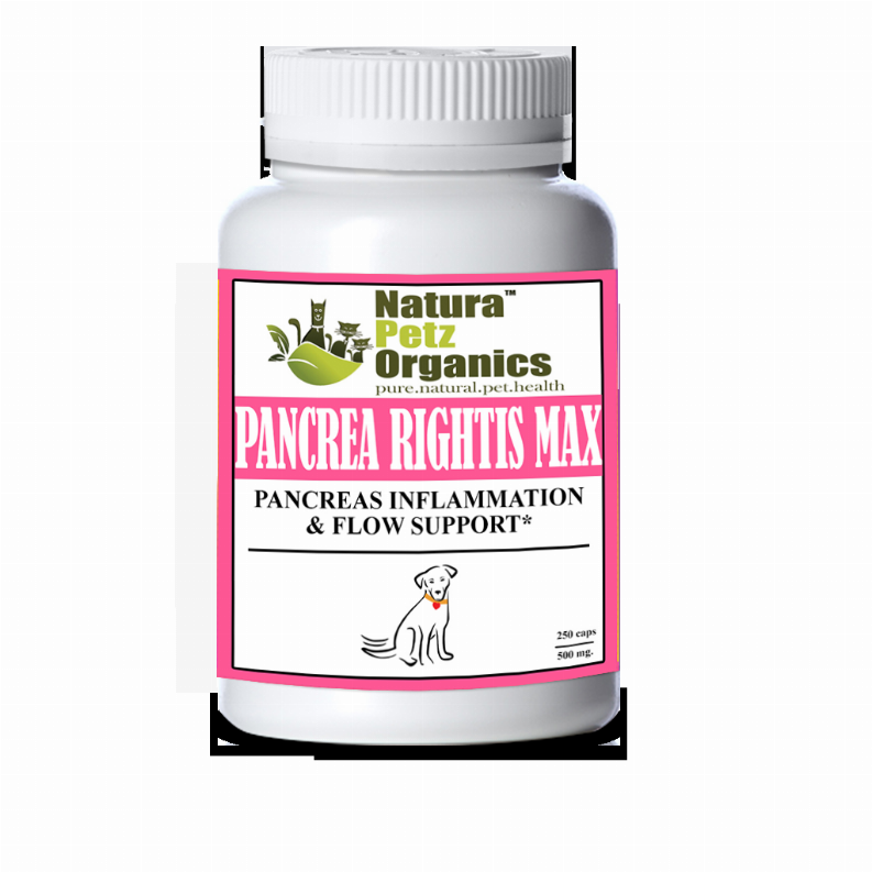 Pancrea Rightis Max Support* Capsules Pancreas Inflammation & Flow Support Dogs Cats*