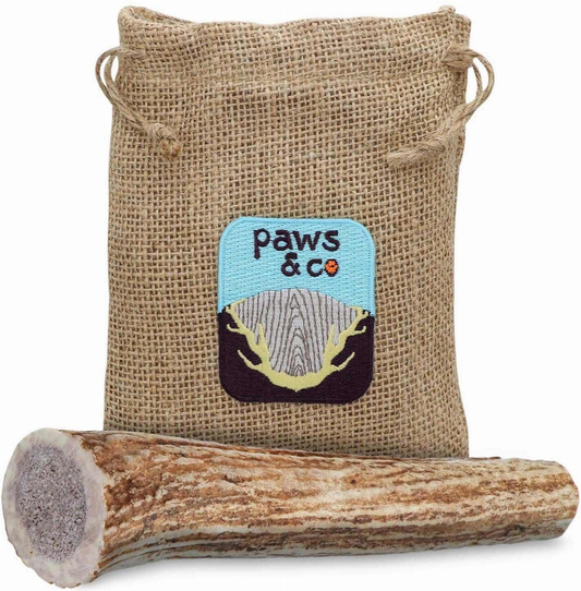 Whole Antler Chew