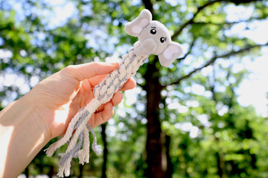 Eco-Ele Dog Handmade Rope Toy, Plush, Squeaky and Tug of War