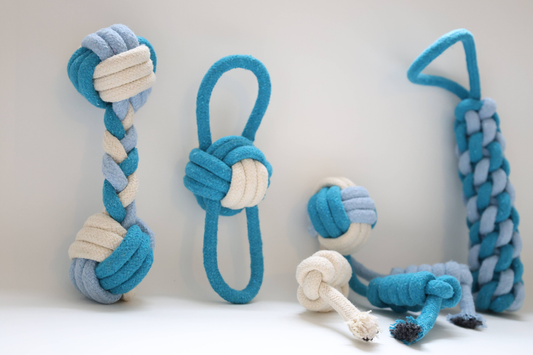 Eco-friendly Blue and White Rope Dog Toys 4 Set