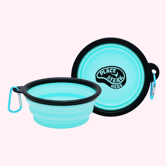 "Place Steak Here" Aqua Dog Bowl