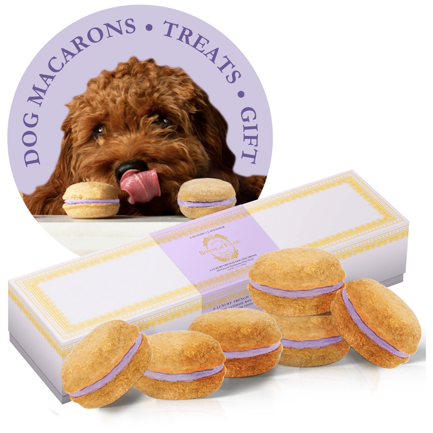 Dog Macarons - Box of 6 (Available in 12 Flavors)