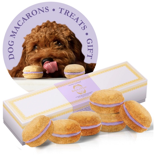 Dog Macarons - Box of 6 (Available in 12 Flavors)