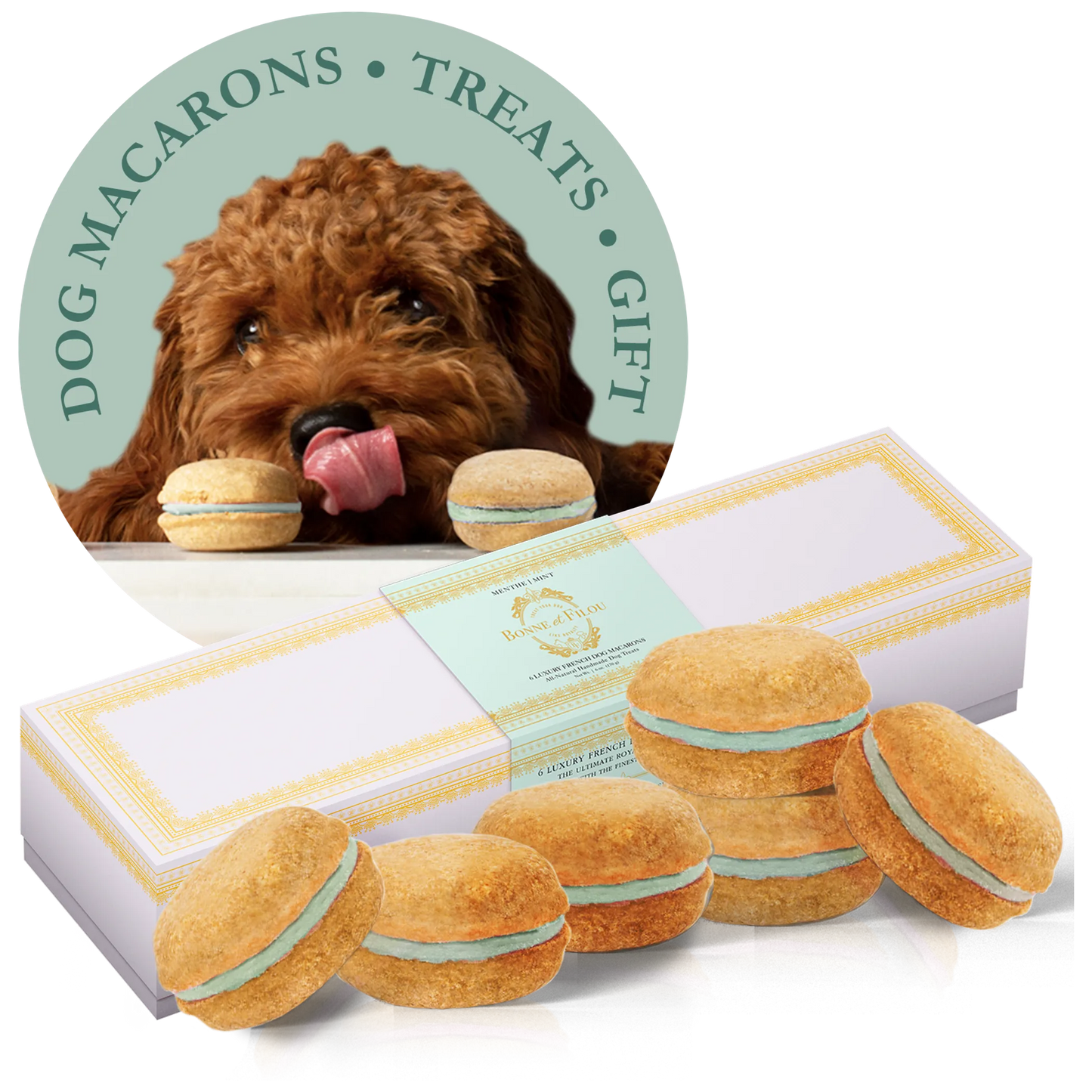 Dog Macarons - Box of 6 (Available in 12 Flavors)