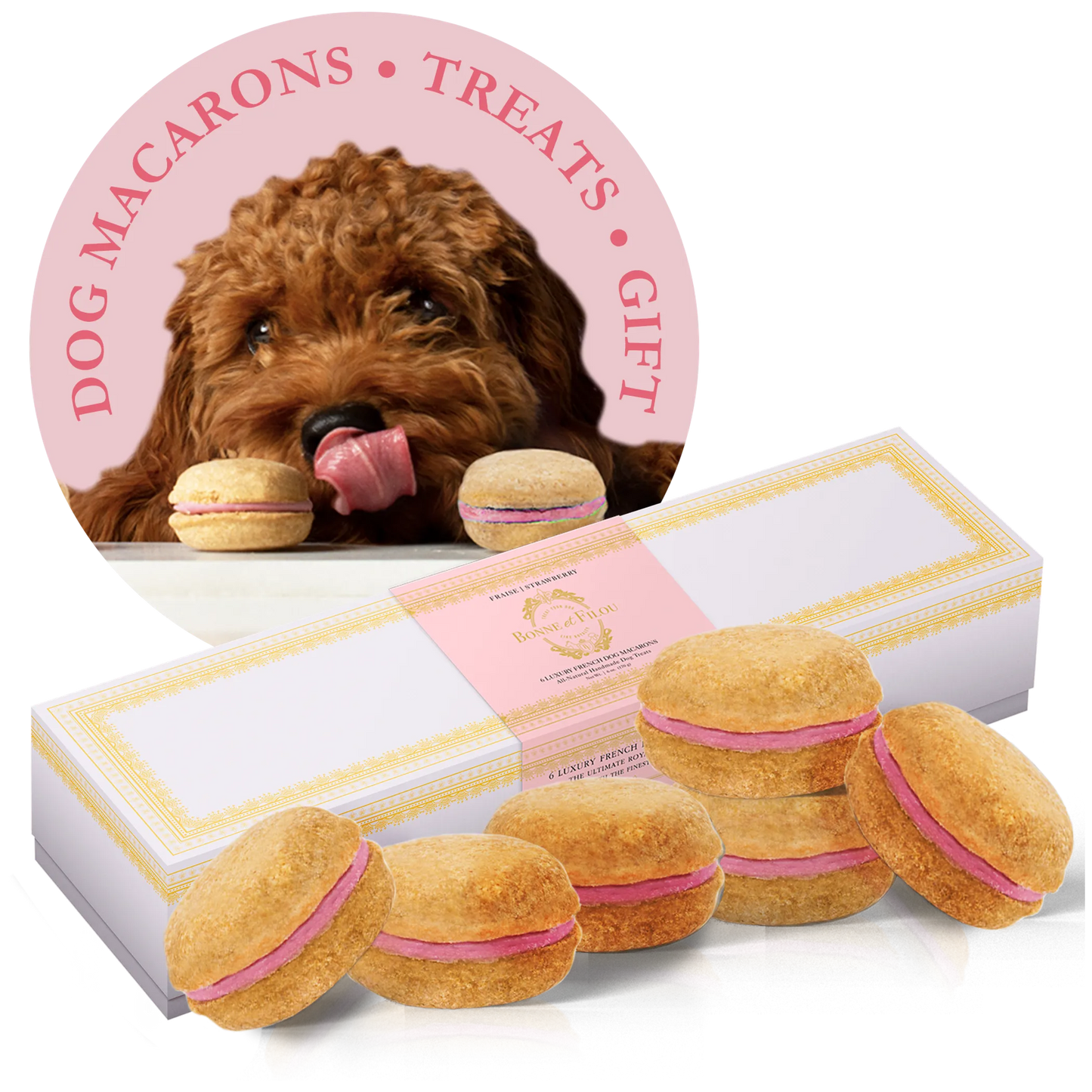 Dog Macarons - Box of 6 (Available in 12 Flavors)