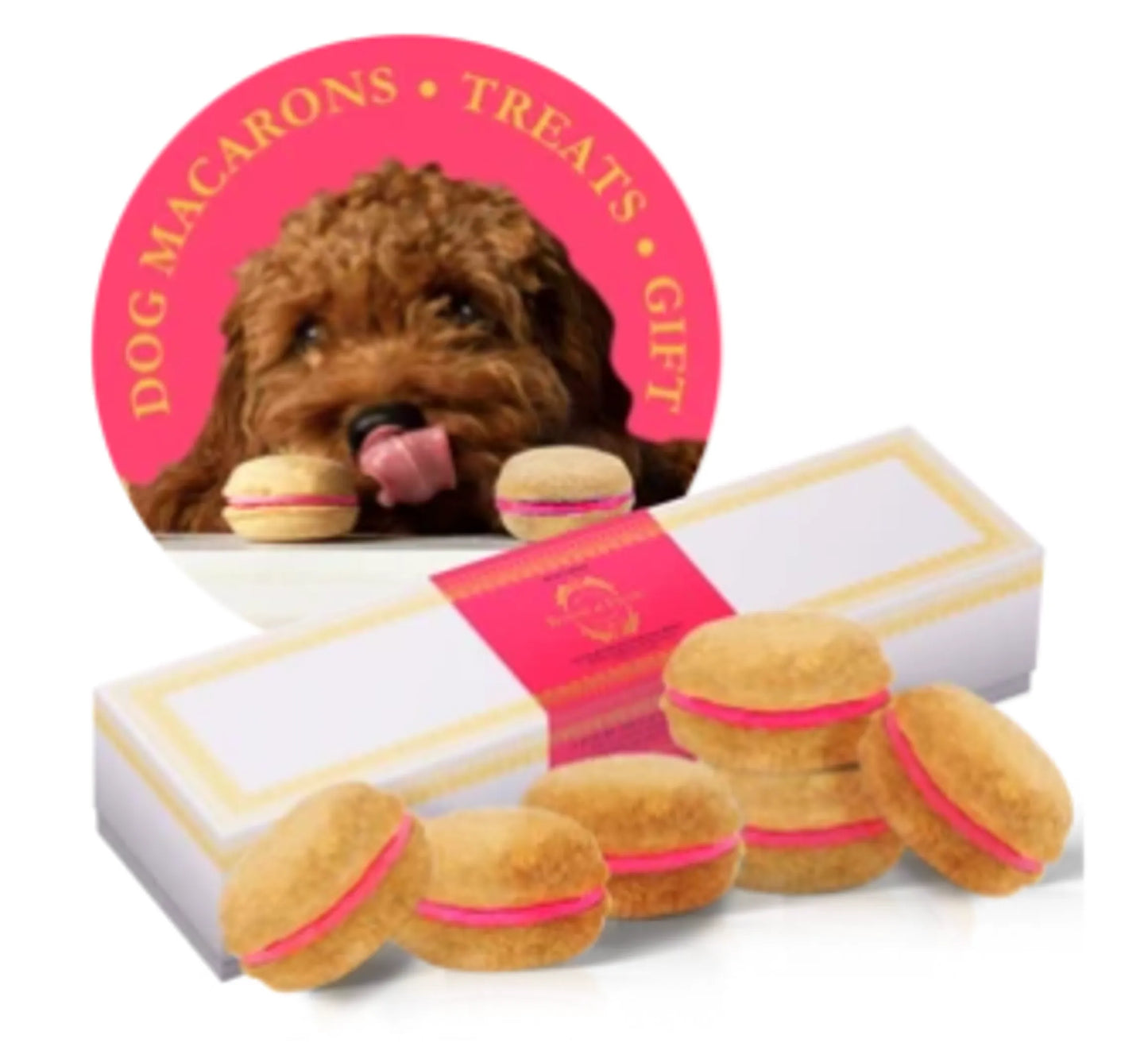 Dog Macarons - Box of 6 (Available in 12 Flavors)