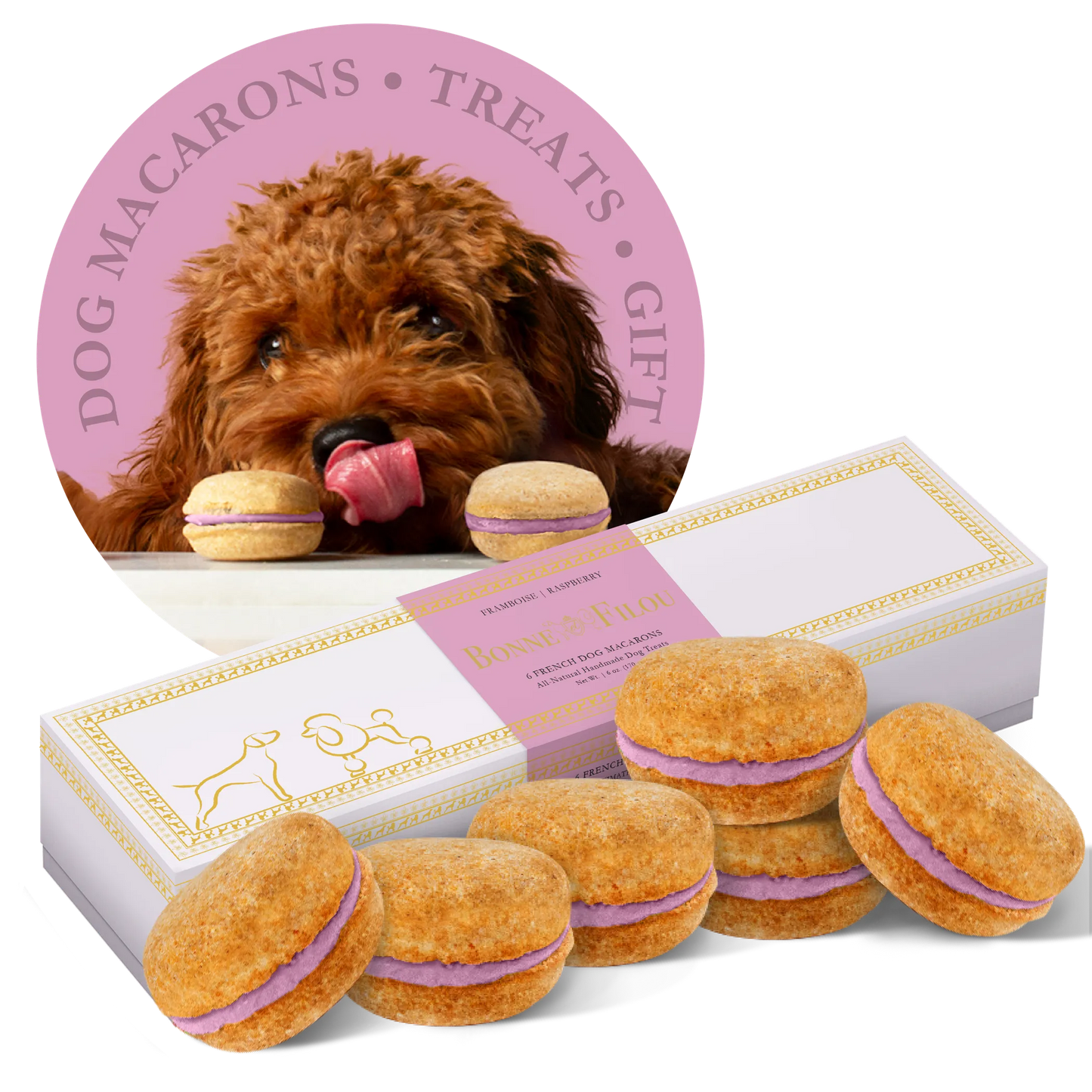 Dog Macarons - Box of 6 (Available in 12 Flavors)