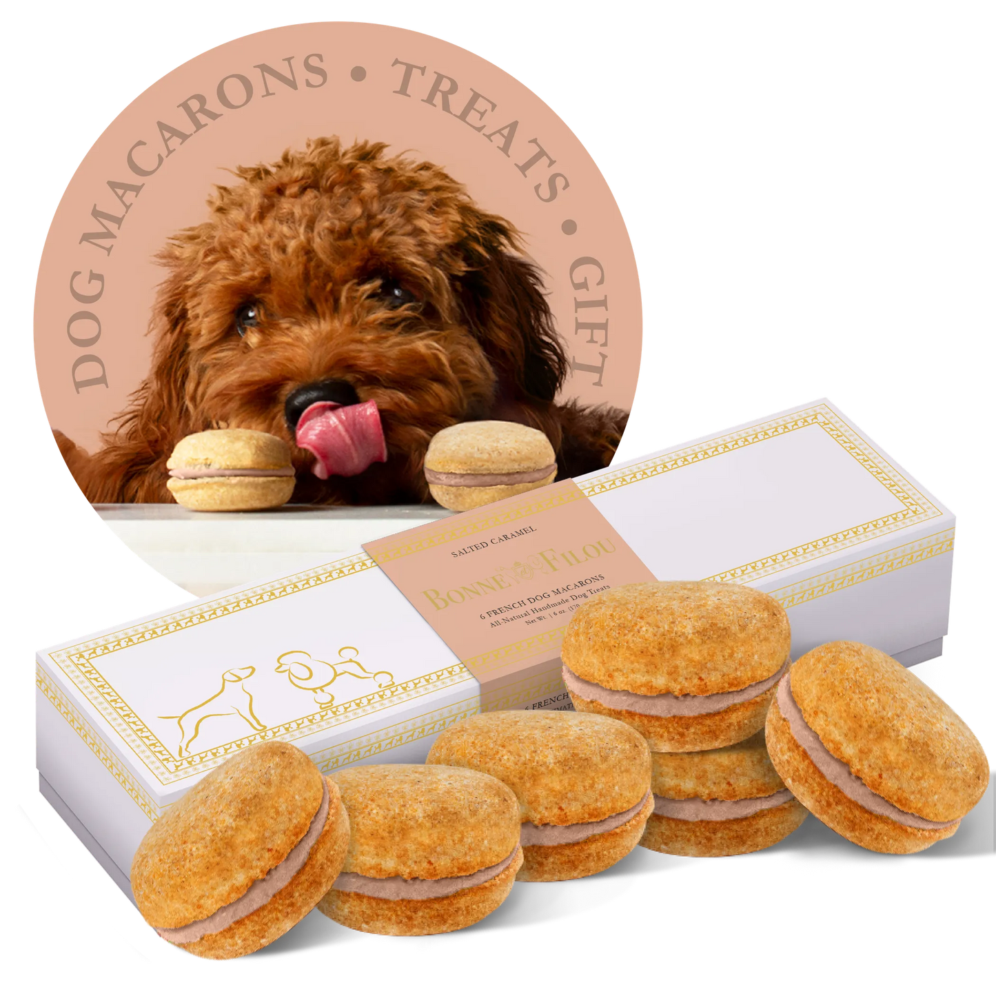 Dog Macarons - Box of 6 (Available in 12 Flavors)