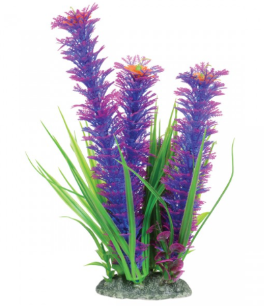 Underwater Treasures Plant on Rock Mixed - 10 pk