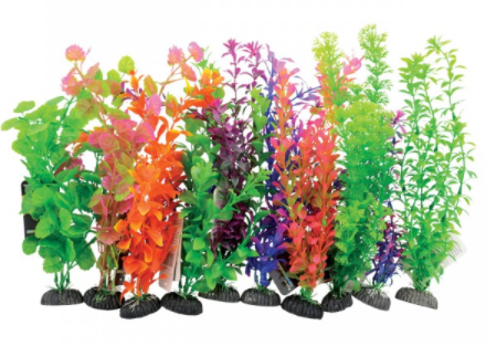 Underwater Treasures Plant on Rock Mixed - 10 pk