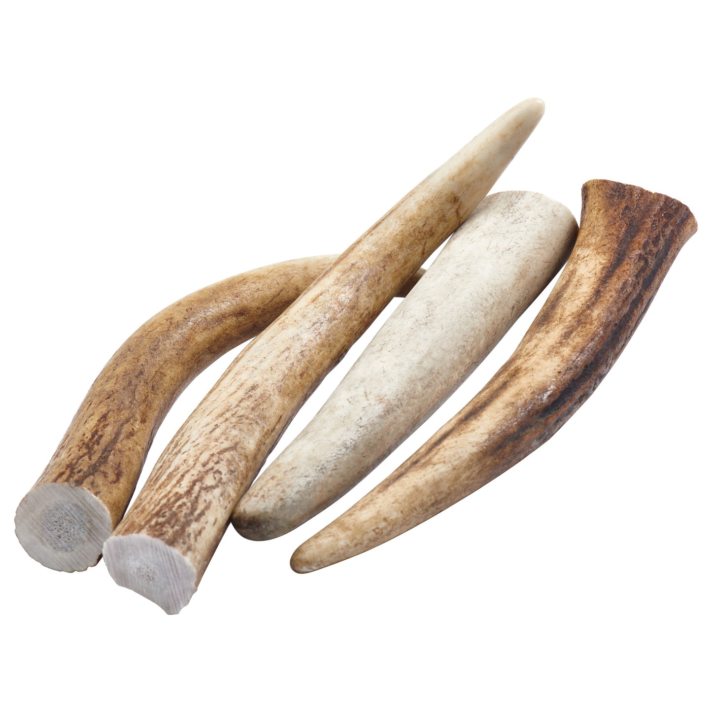 Elk Antler Tips Dog Chews