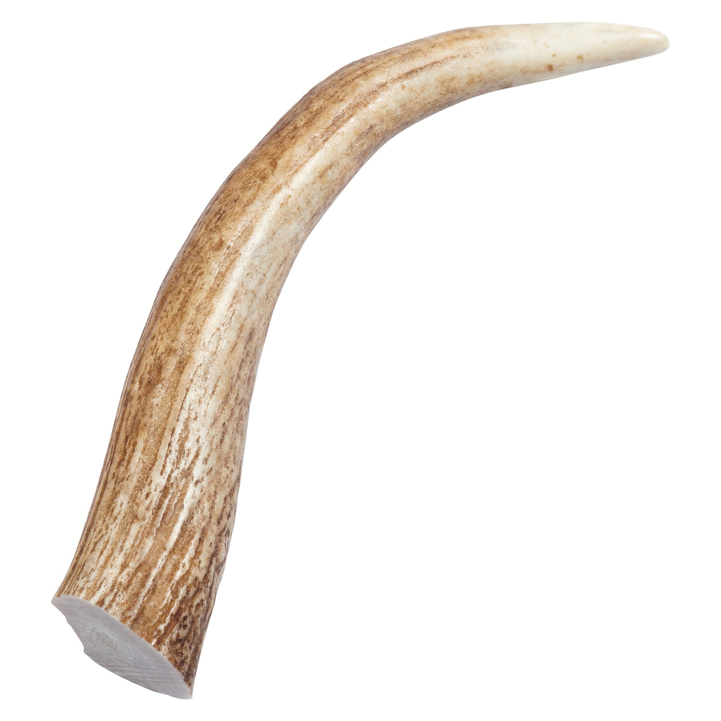 Elk Antler Tips Dog Chews